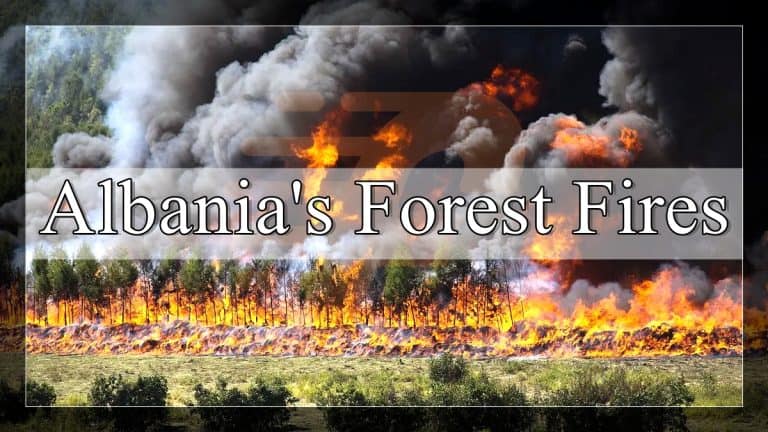 News森林大火封面