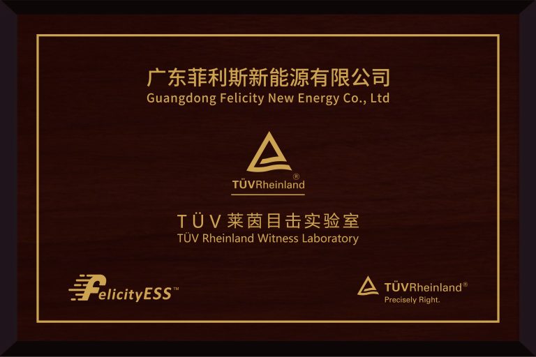 莱茵实验室木质奖牌