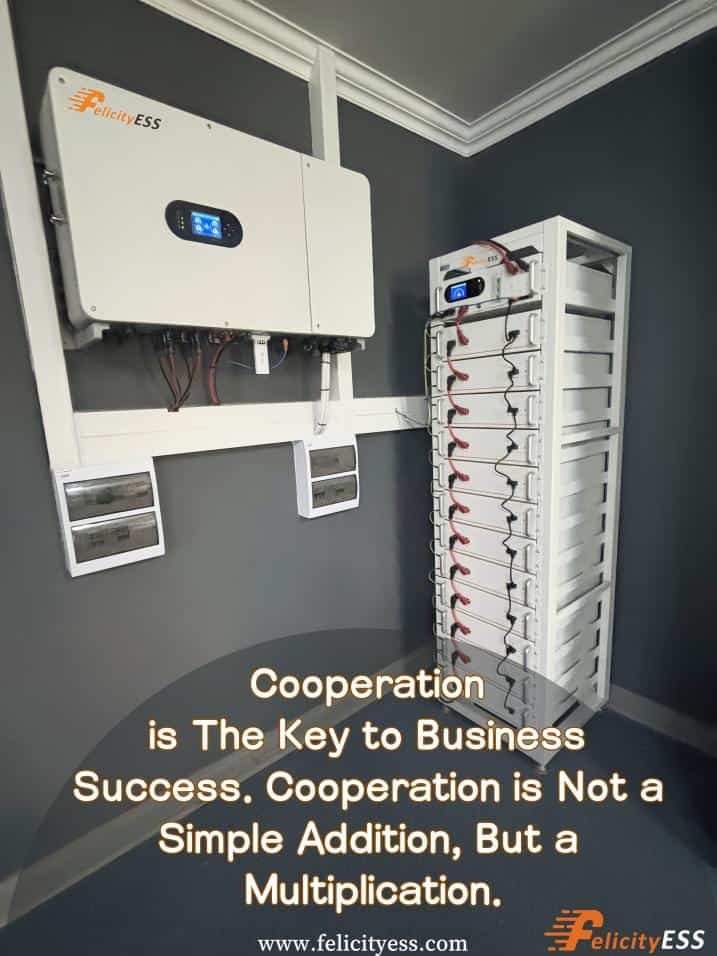Series and parallel inverter 3